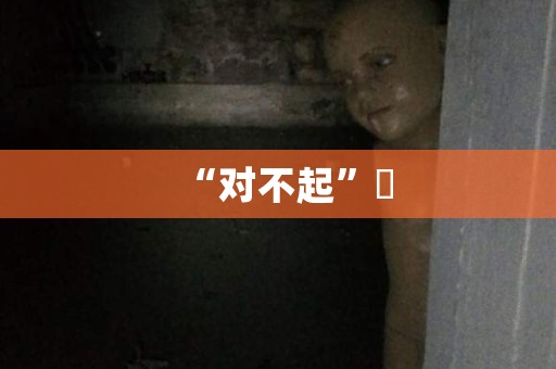 “对不起”㊤