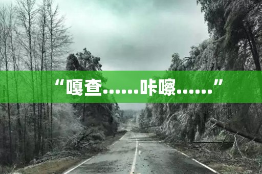 “嘎查……咔嚓……”