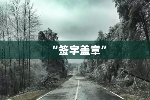 “签字盖章”
