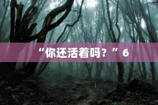 “你还活着吗？”6