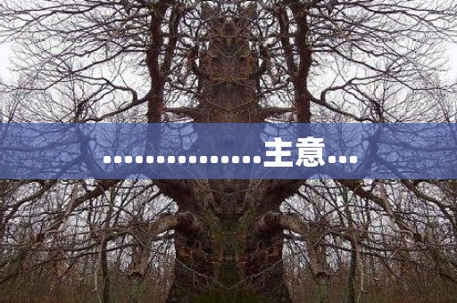……………主意…