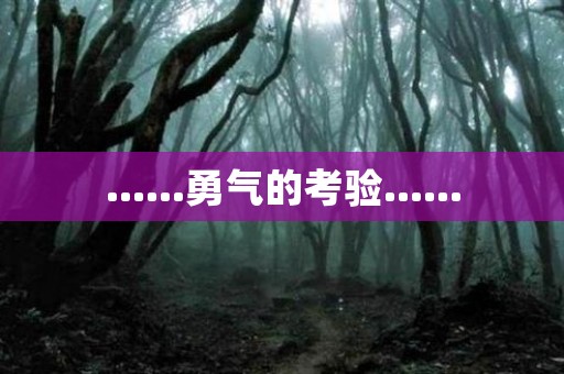 ……勇气的考验……