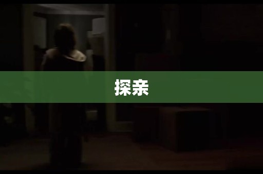 探亲