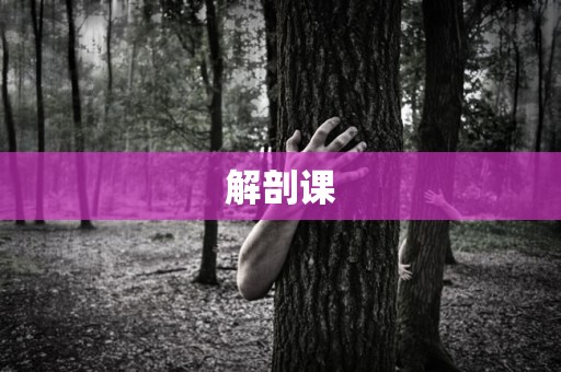解剖课