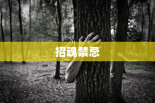 招魂禁忌