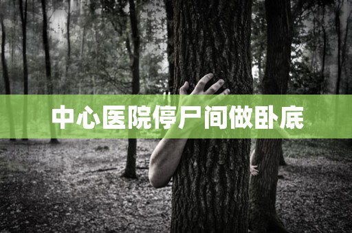 中心医院停尸间做卧底