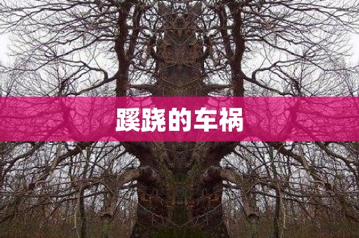蹊跷的车祸