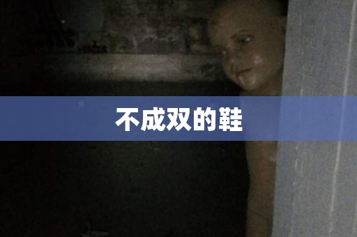 不成双的鞋