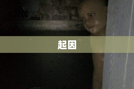 起因