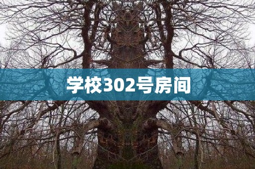 学校302号房间 都市故事