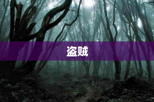 盗贼