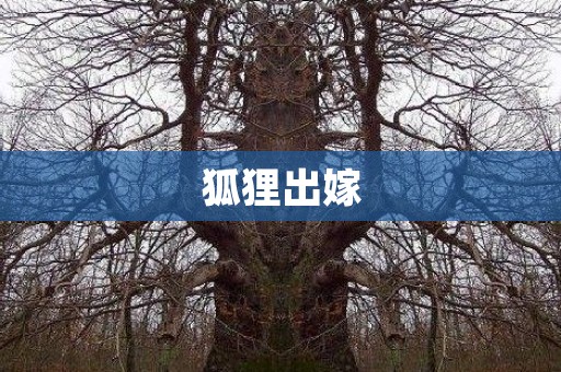 狐狸出嫁