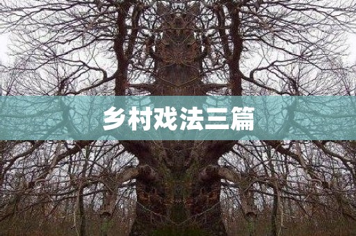 乡村戏法三篇