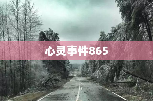 心灵事件865