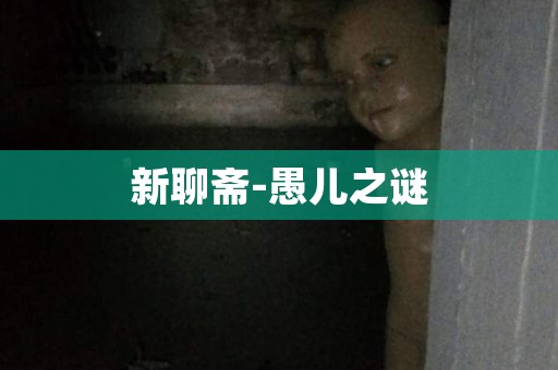 新聊斋-愚儿之谜