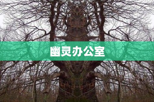 幽灵办公室