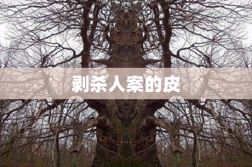 剥杀人案的皮