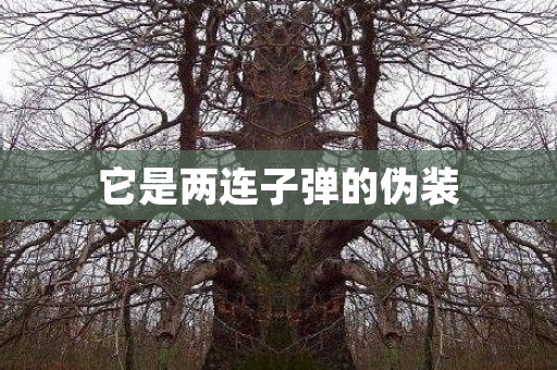 它是两连子弹的伪装