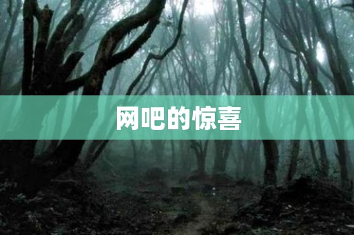 网吧的惊喜 短篇故事