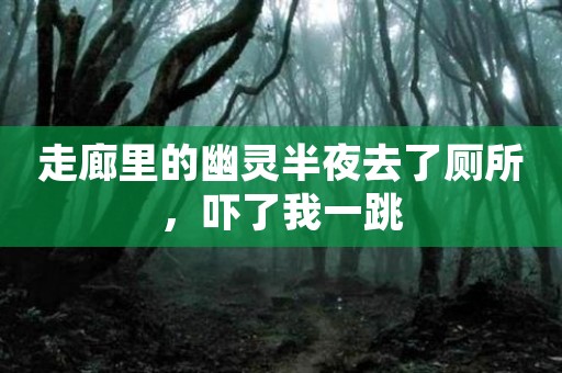 走廊里的幽灵半夜去了厕所，吓了我一跳