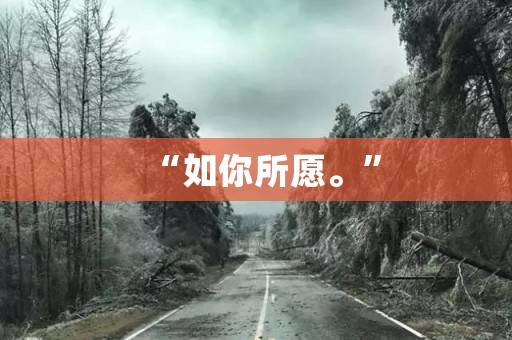 “如你所愿。”