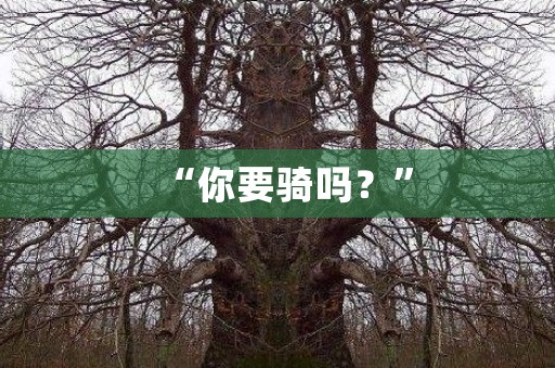 “你要骑吗？”