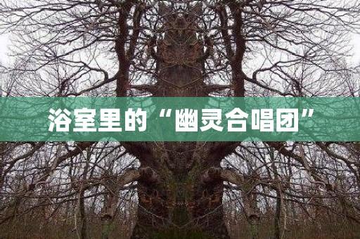 浴室里的“幽灵合唱团”