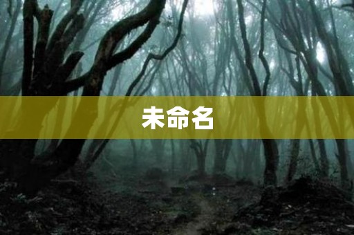 未命名