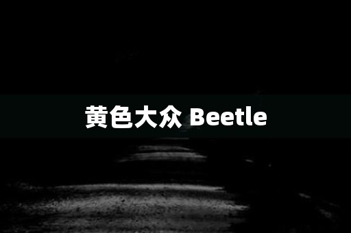 马来西亚都市传说 - 黄色大众 Beetle