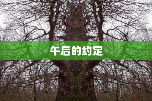 午后的约定